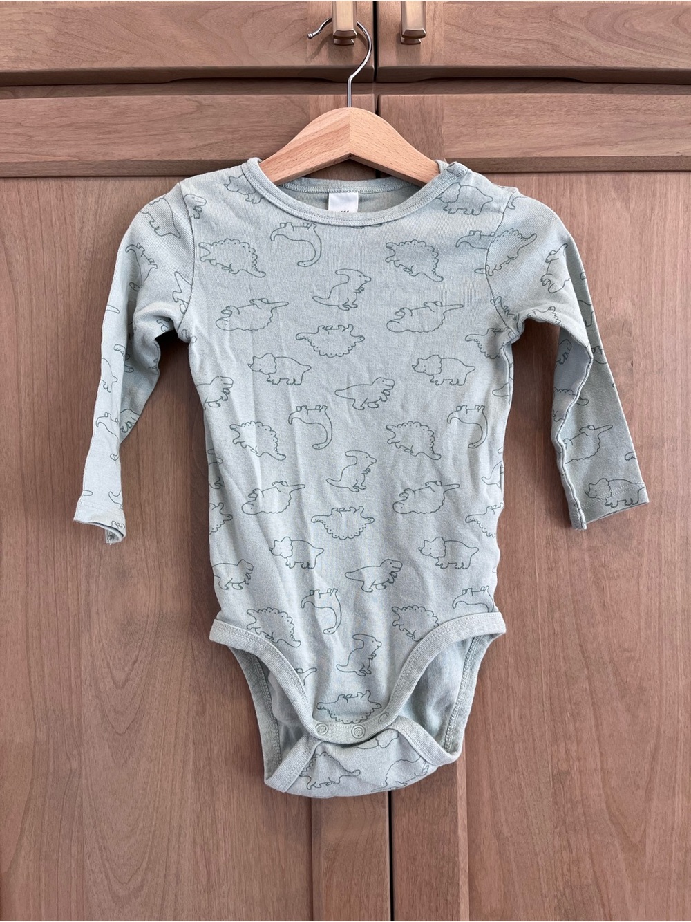 NEW H&M Dinosaur Bodysuit